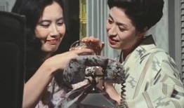 高颜值百合电视剧,绝色百合情缘