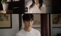 婚后电视剧,甜蜜与挑战交织的婚姻画卷