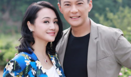 曹颖演过的电视剧,从古装佳人到现代都市女性的华丽转身