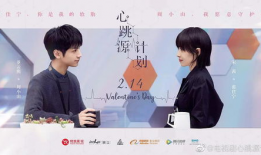 心跳电视剧,揭秘都市情感纠葛，探寻爱情与命运的交织